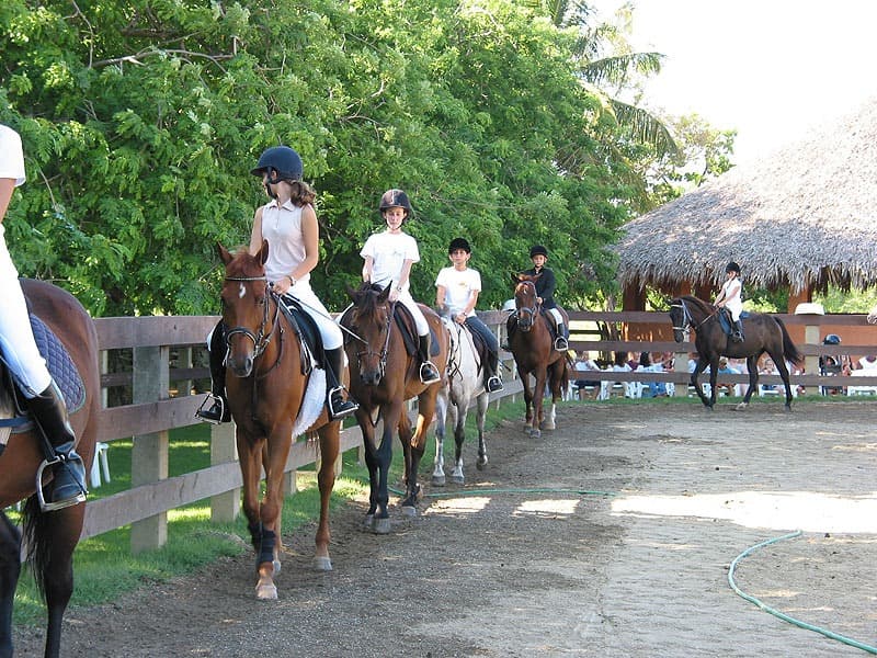 Horseback Riding