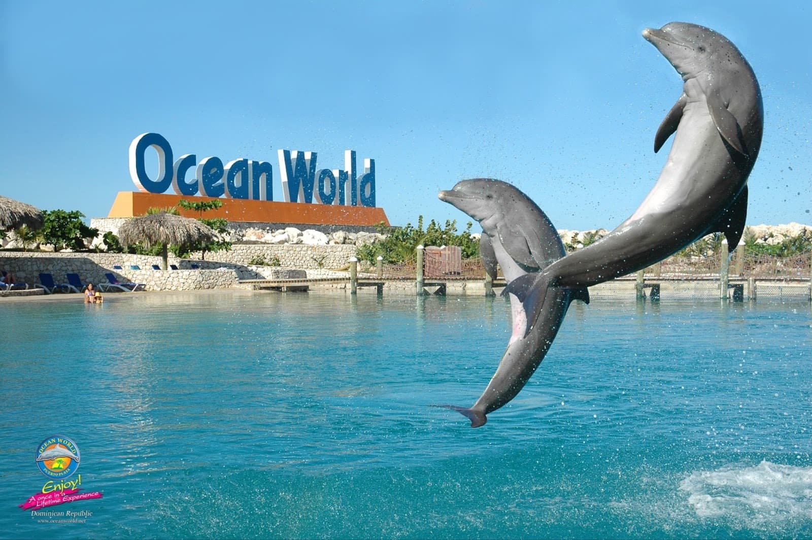 Wellness and fitness